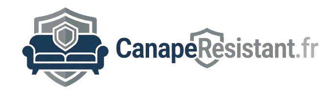 Canapé Résistant : comparatifs et conseils